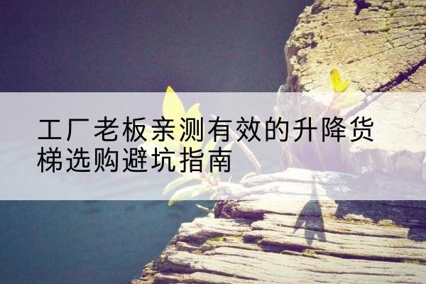 龙子湖升降货梯怎么选-工厂老板亲测有效的升降货梯选购避坑指南