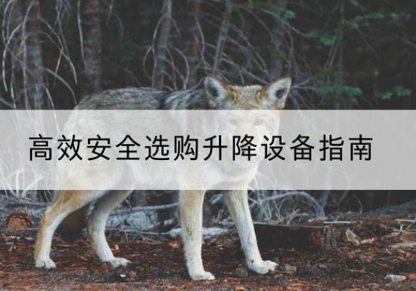 龙子湖升降货梯厂家推荐-*安全选购升降设备指南