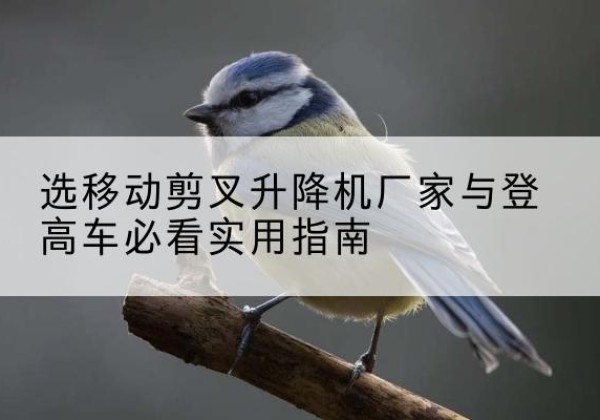 龙子湖电动升降机厂家-选移动剪叉升降机厂家与登高车必看实用指南