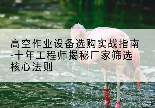龙子湖剪叉式升降机厂家-高空作业设备选购实战指南-十年工程师揭秘厂家筛选核心法则