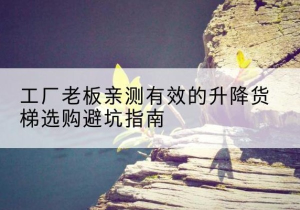 龙子湖升降货梯怎么选-工厂老板亲测有效的升降货梯选购避坑指南